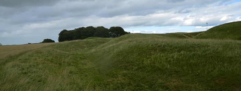 tara3_20200228001558712.jpg